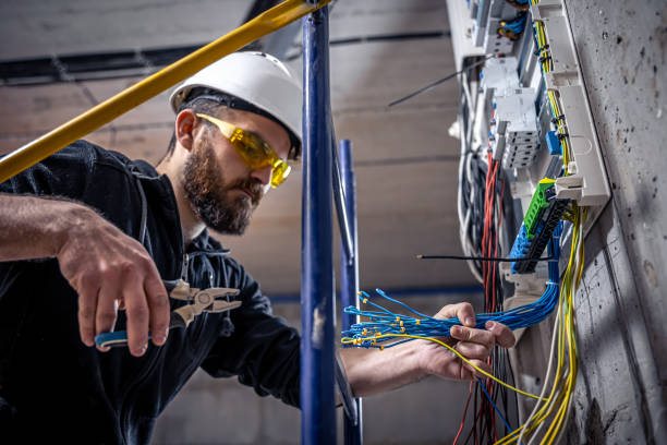 Best Ceiling Fan Installation Electrician  in Mount Pulaski, IL