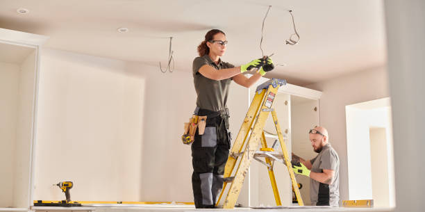 Best Licensed Electrician  in Mount Pulaski, IL
