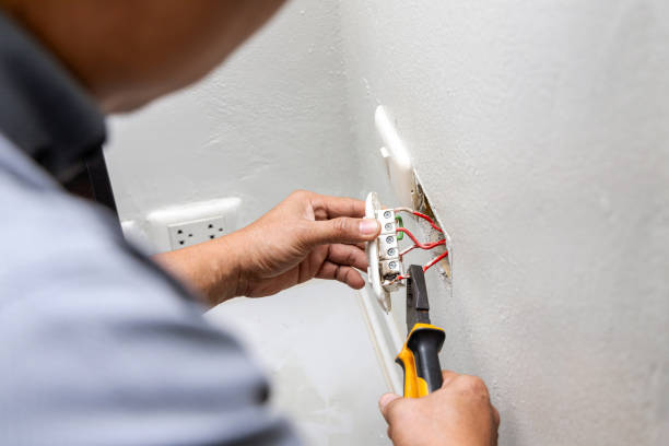Best Electric Panel Repair  in Mount Pulaski, IL