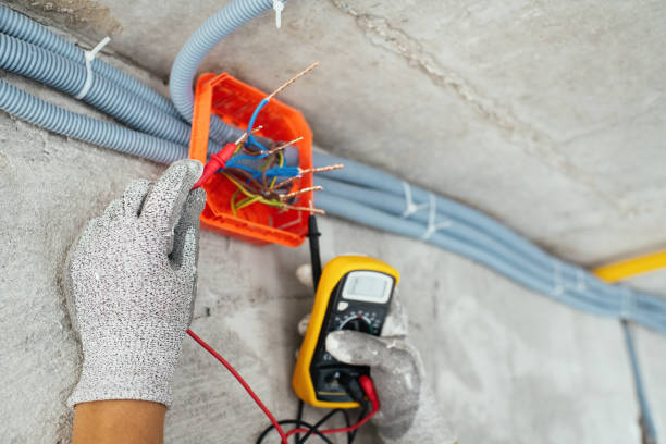 Best Electrical Repair Services  in Mount Pulaski, IL