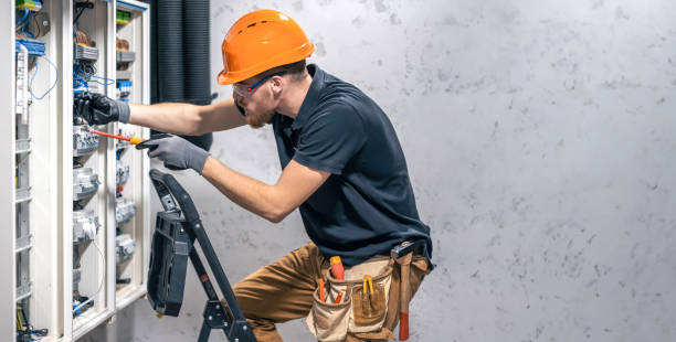 Best Licensed Electrician  in Mount Pulaski, IL